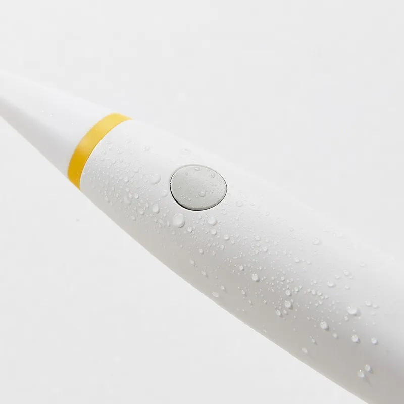 electric toothbrush brush monster