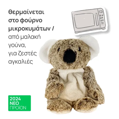 heated teddy bear
