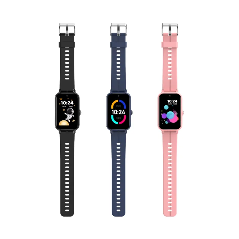 DH13S Smart Bracelet